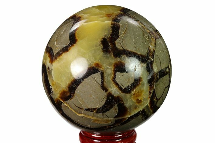 Polished Septarian Sphere - Madagascar #154136